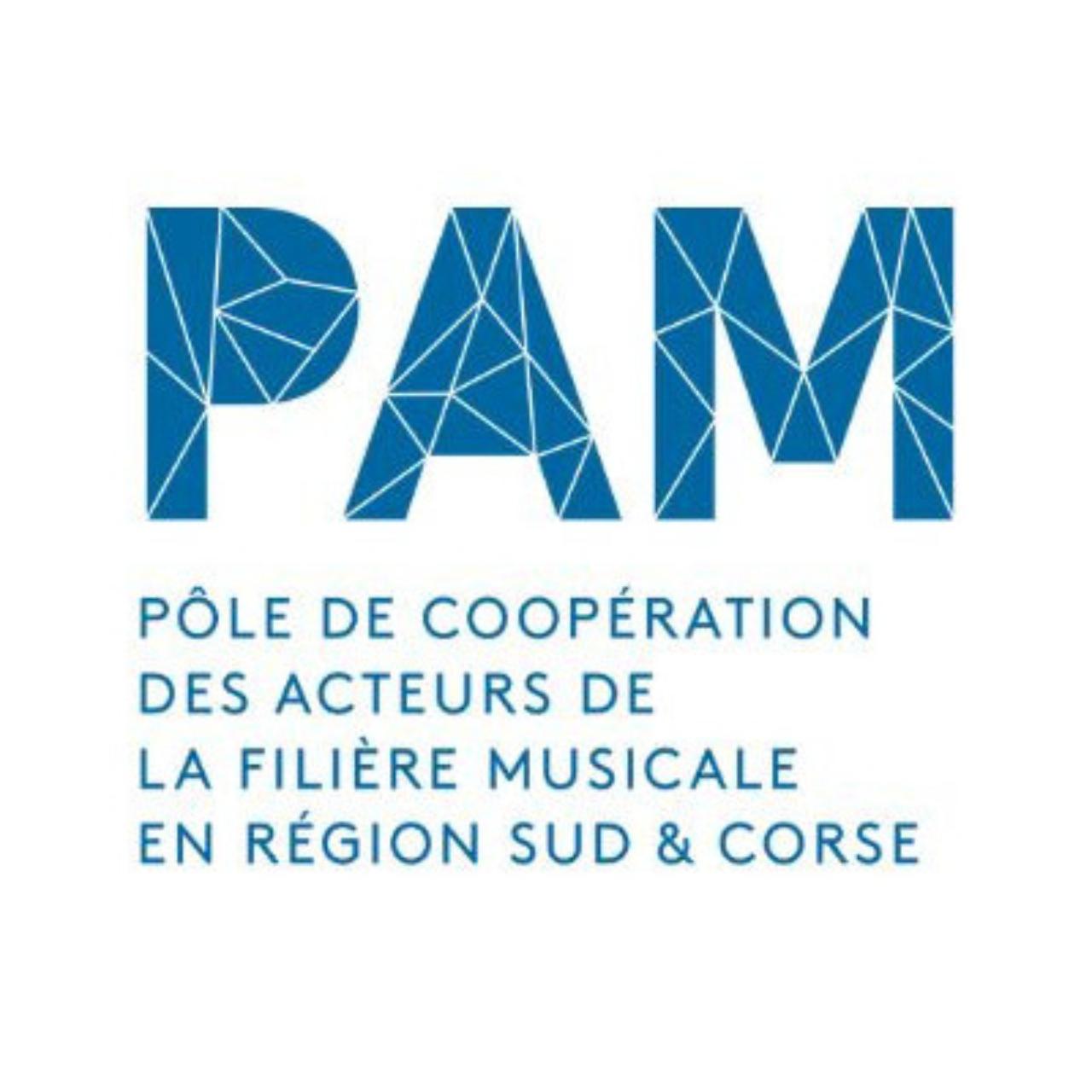 Artiste PAM - PÔLE DE COOPÉRATION DES ACTEURS DE LA FILIÈRE MUSICALE EN RÉGION SUD & CORSE