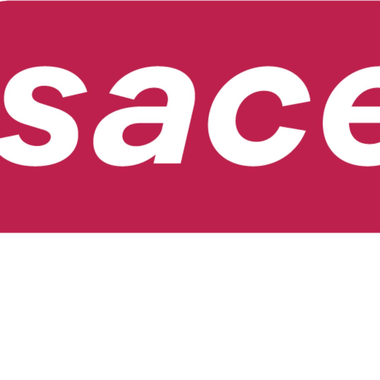 Artiste SACEM