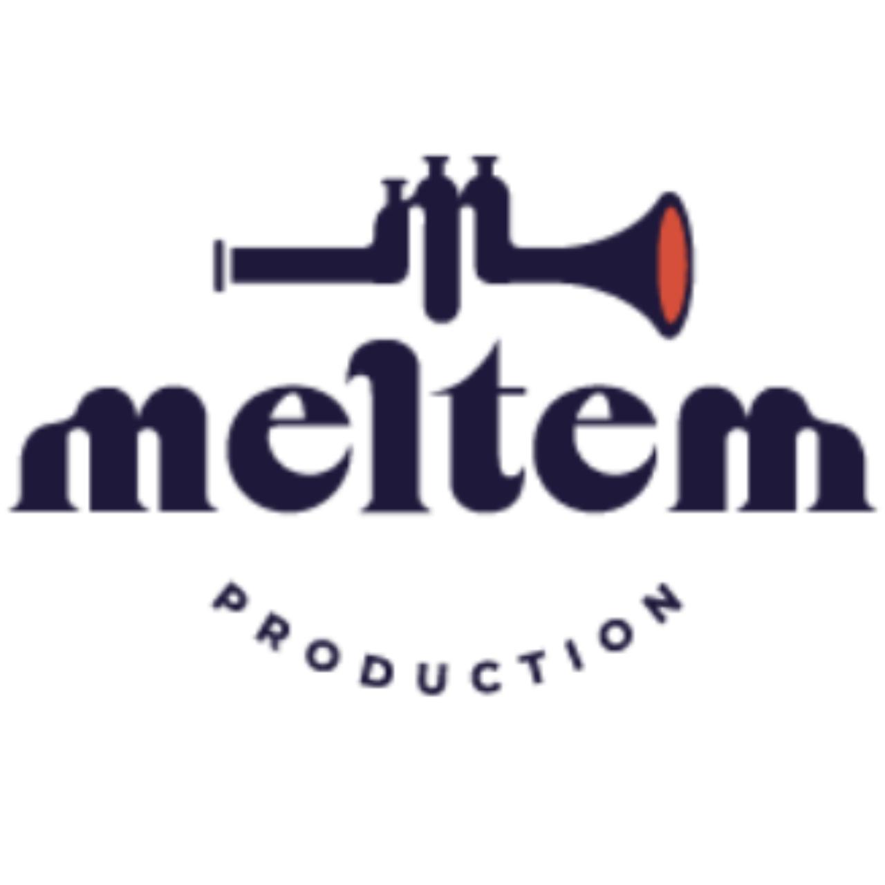 Artiste MELTEM PRODUCTION / WELCOME IN TZIGANIE