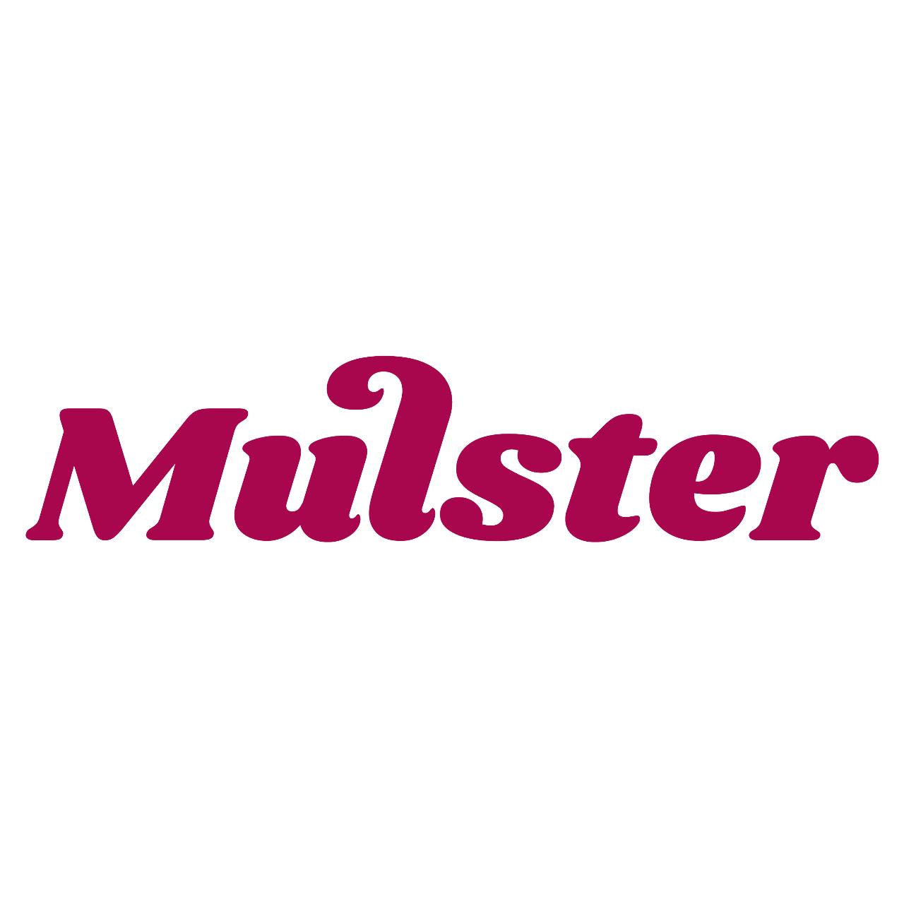 Artiste MULSTER