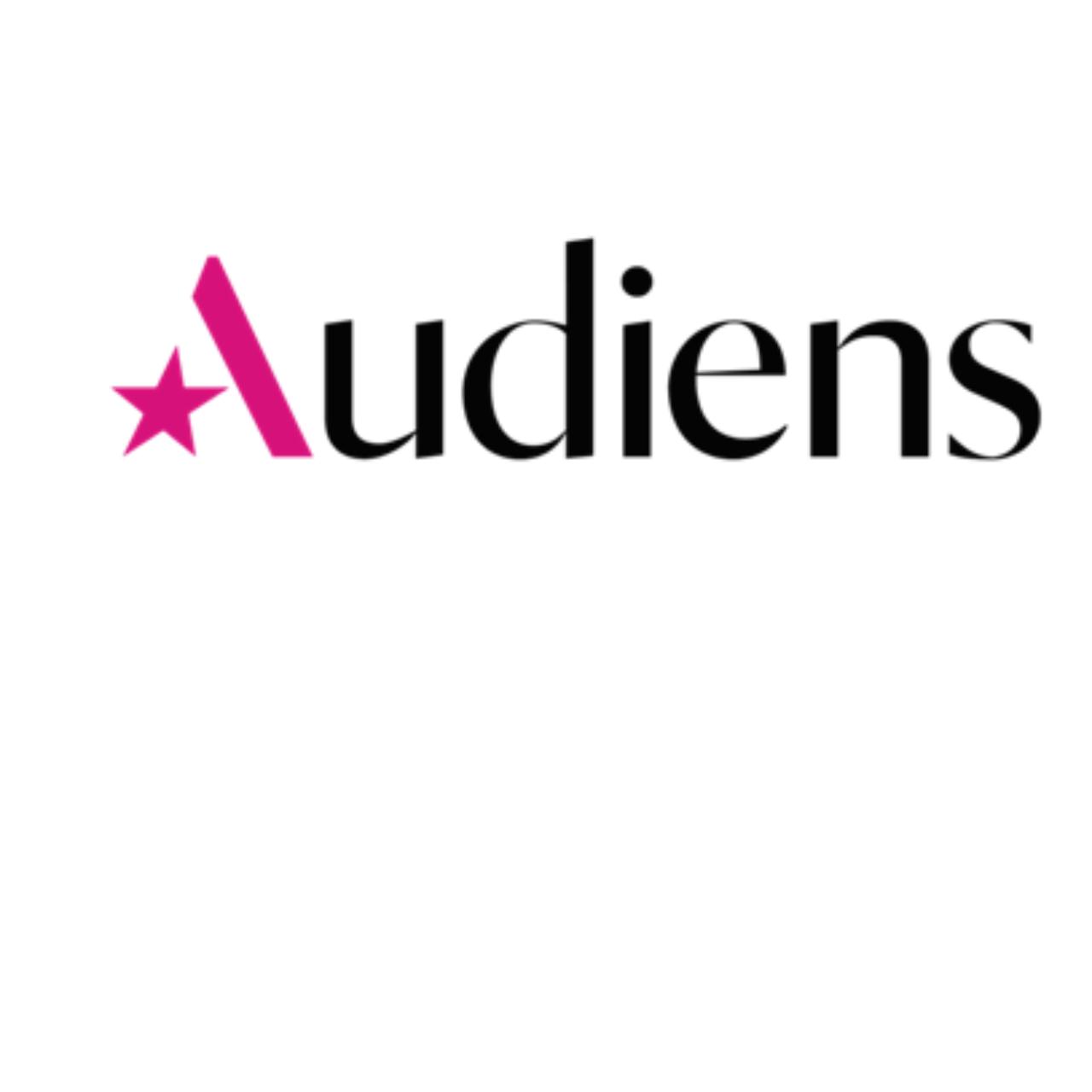Artiste AUDIENS